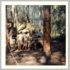 The Basin Scouts 1966 Kinglake Camp 5.jpg